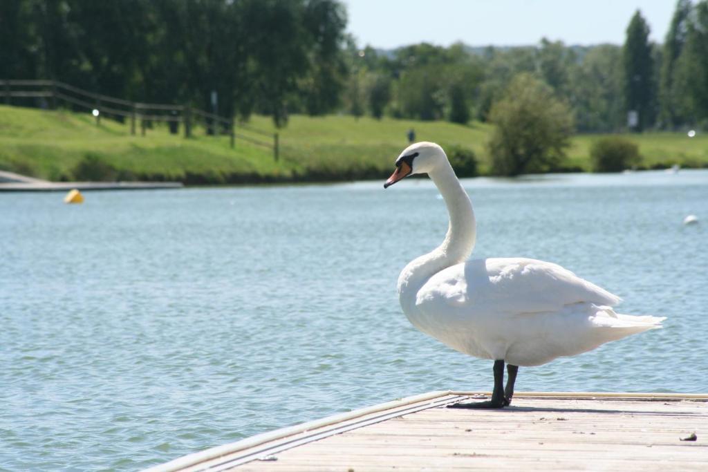 Ibis Budget Mantes-La-Jolie Zewnętrze zdjęcie